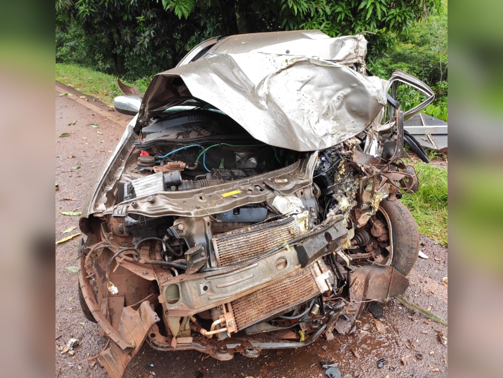 Jornal Ilustrado - Motorista de carro morre após veículo bater em árvore na PR-317