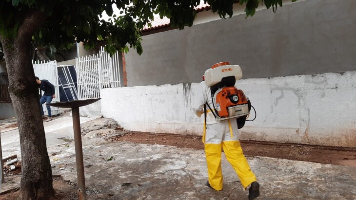 Jornal Ilustrado - Umuarama registra primeiro caso suspeito de febre chikungunya e acende alerta