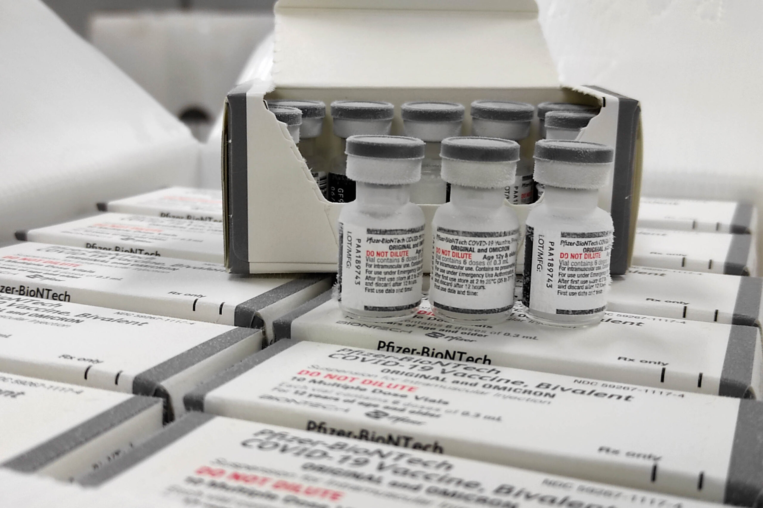 Jornal Ilustrado - Paraná recebe as primeiras doses da vacina bivalente contra a Covid-19
