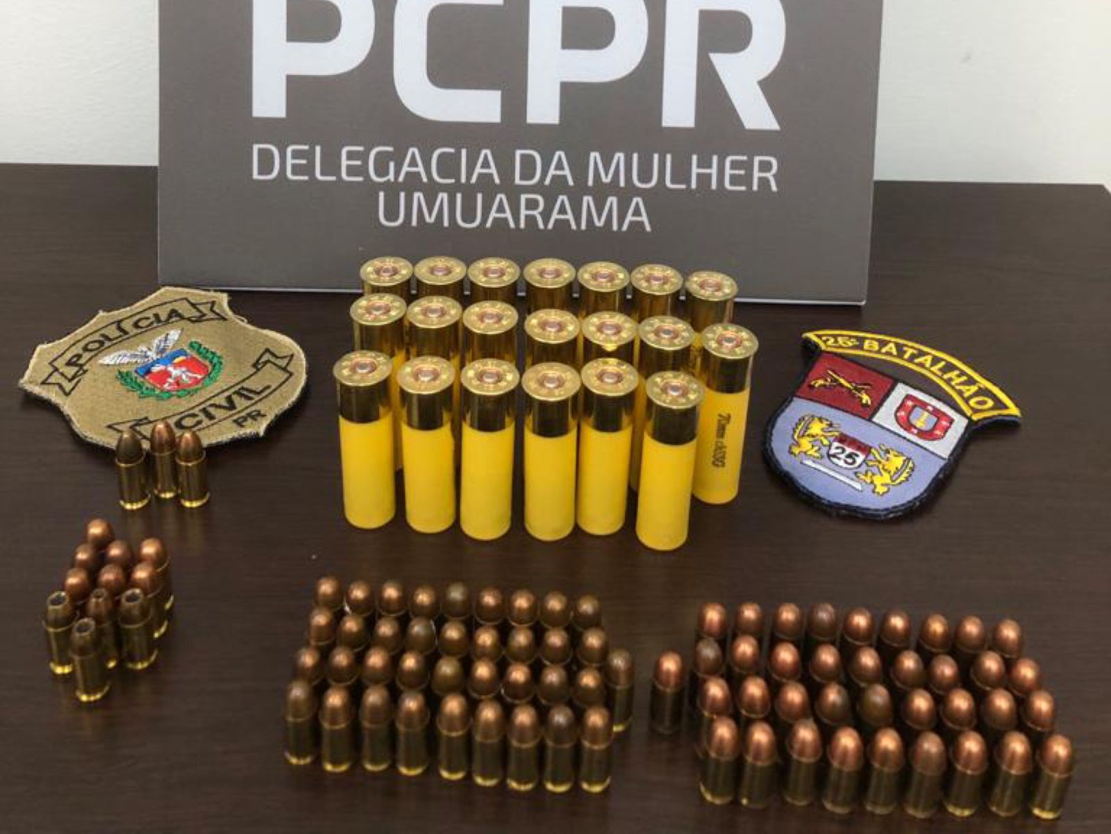 Jornal Ilustrado - PC e PM apreendem munições e prendem homem por descumprir medida protetiva