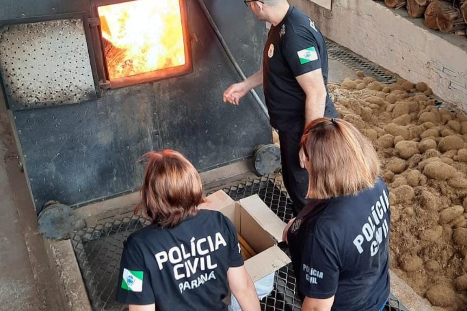 Jornal Ilustrado - Polícia Civil incinera mais de três toneladas de drogas em Iporã 