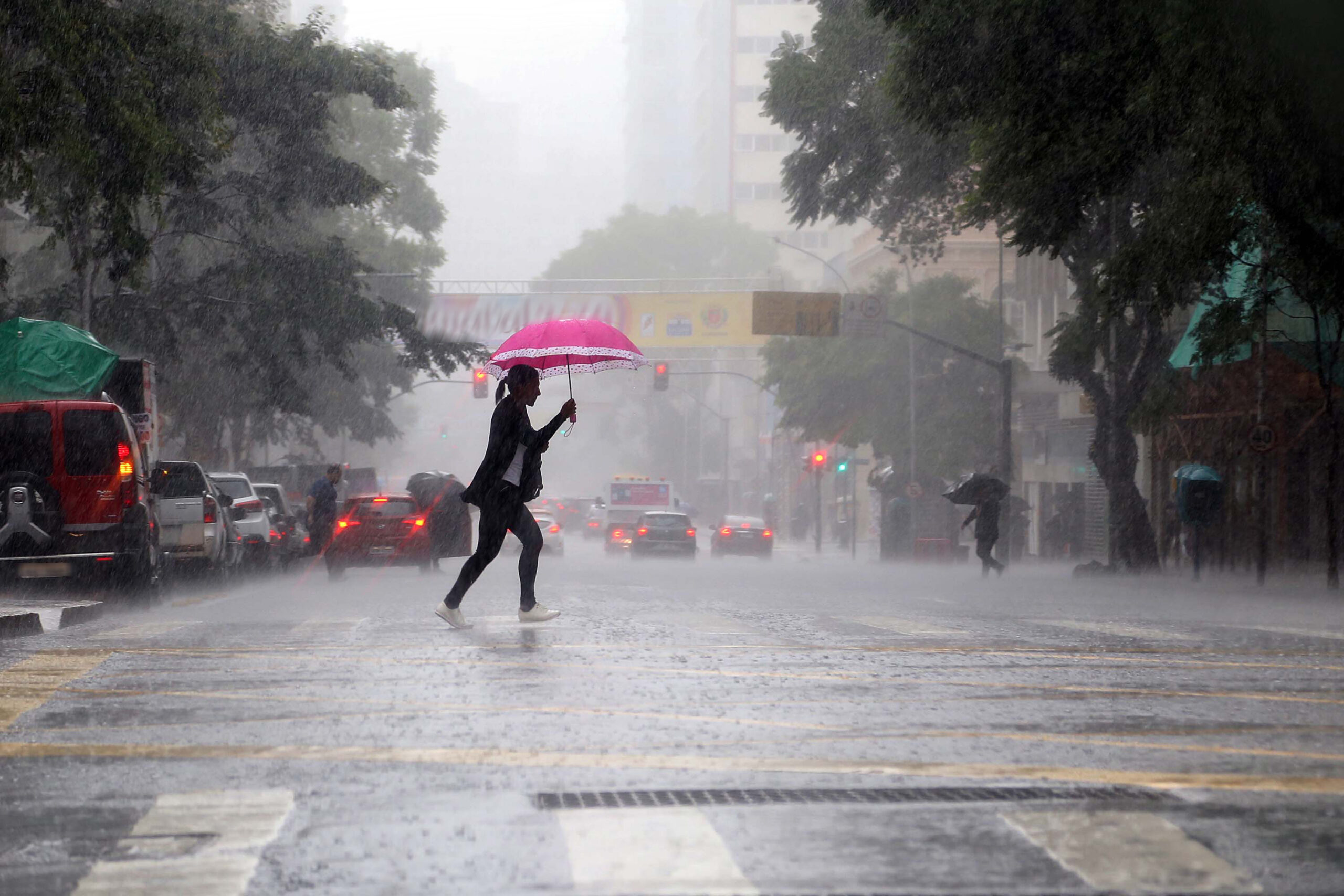 Jornal Ilustrado - Com chuvas mais intensas, Saúde alerta para cuidados contra a leptospirose