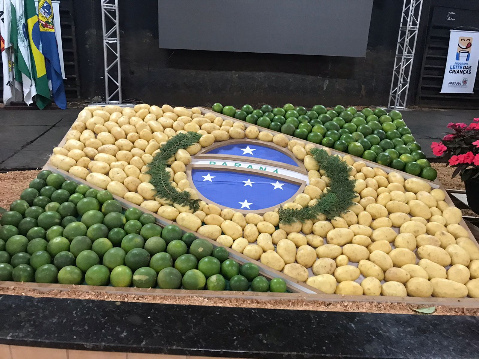 Jornal Ilustrado - Umuarama sedia etapa regional da Conferência sobre segurança alimentar e nutricional