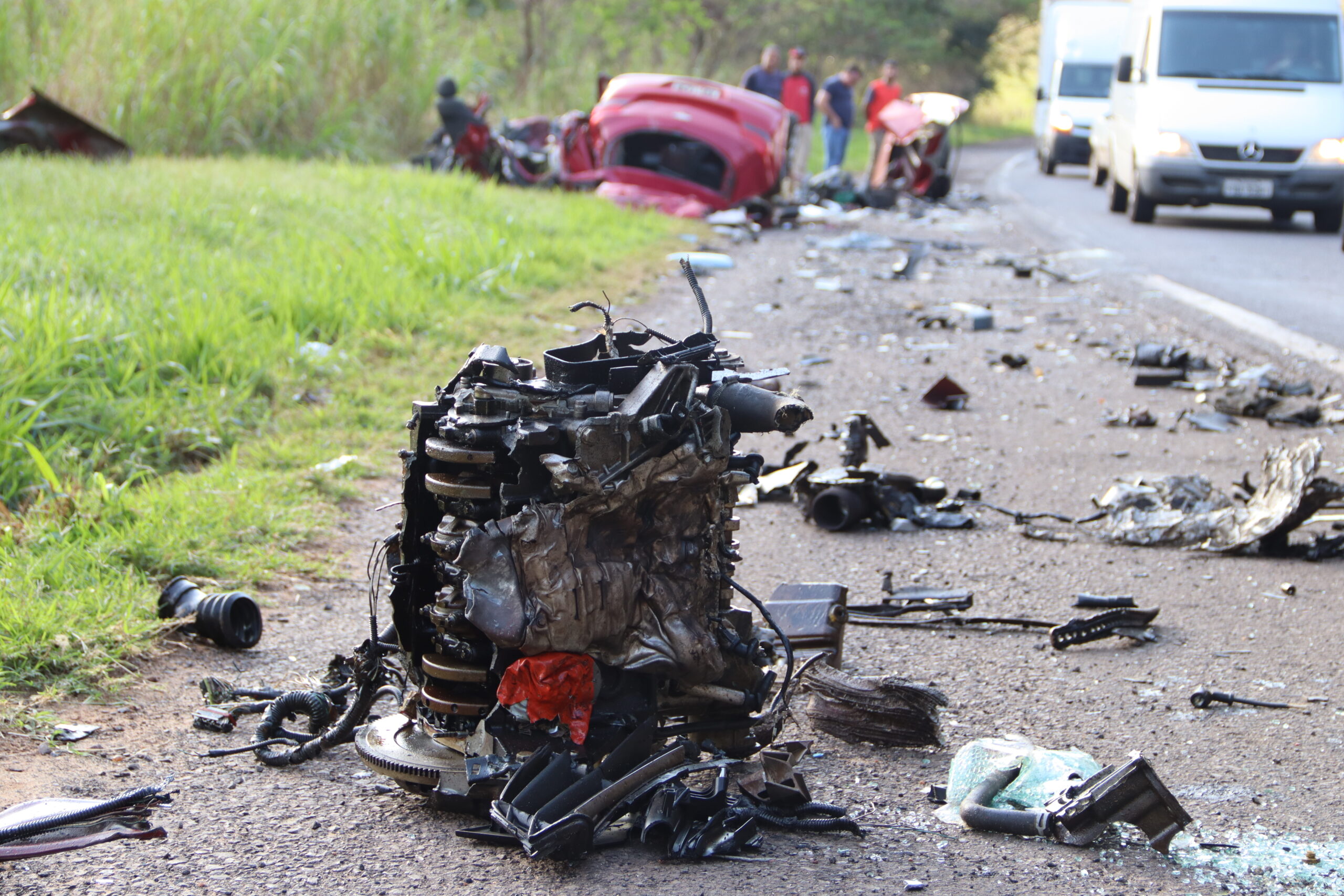 Acidente envolvendo caminhonete mata cavalo na BR-272, em Goioerê -  Umuarama News