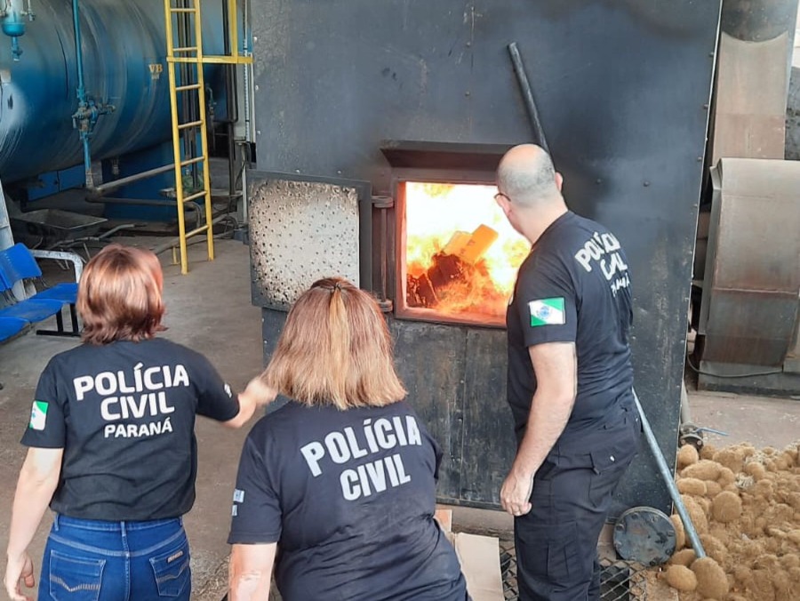Jornal Ilustrado - Polícia Civil de Iporã incinera quase 900 quilos de maconha  