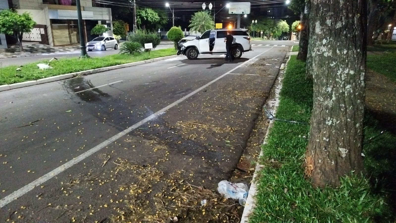 Jornal Ilustrado - Mulher fica ferida após colidir veículo contra árvore na avenida Maringá, em Umuarama