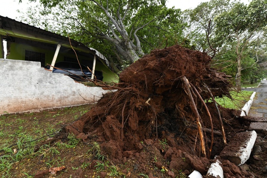 Chuva rápida com ventos fortes causa uma série de estragos em Umuarama