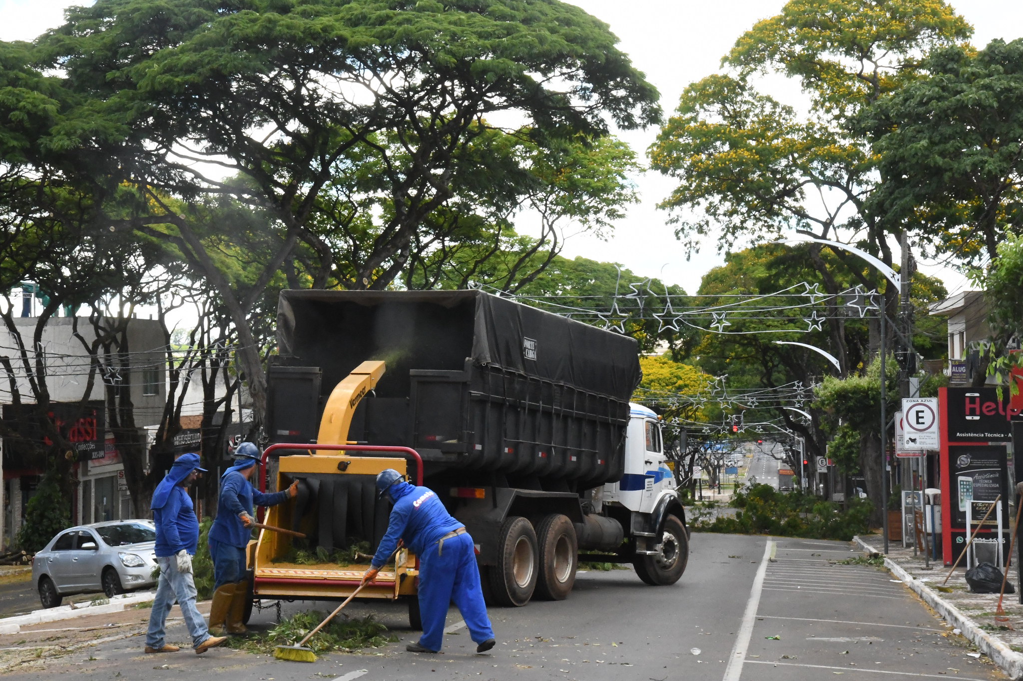Jornal Ilustrado - Prefeitura inicia megaoperação para poda de árvores da área central da cidade