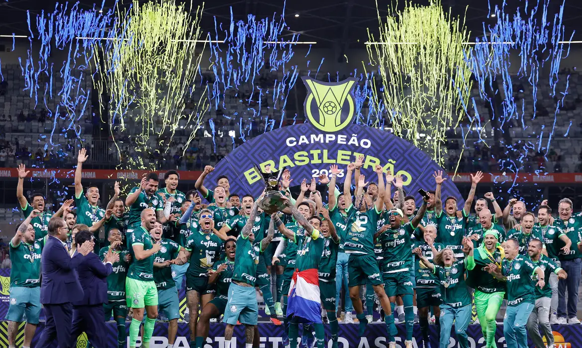 Jornal Ilustrado - Palmeiras conquista o 12º Campeonato Brasileiro de sua história
