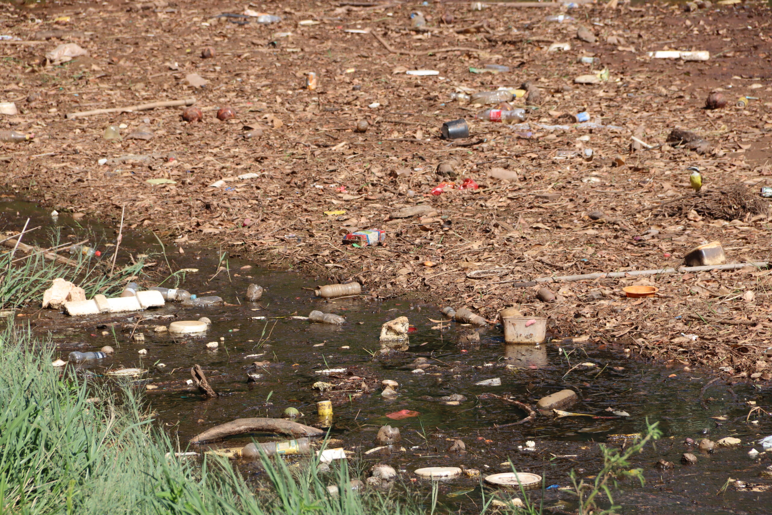 Jornal Ilustrado - Lago Aratimbó volta a sofrer com lixo e assoreamento  