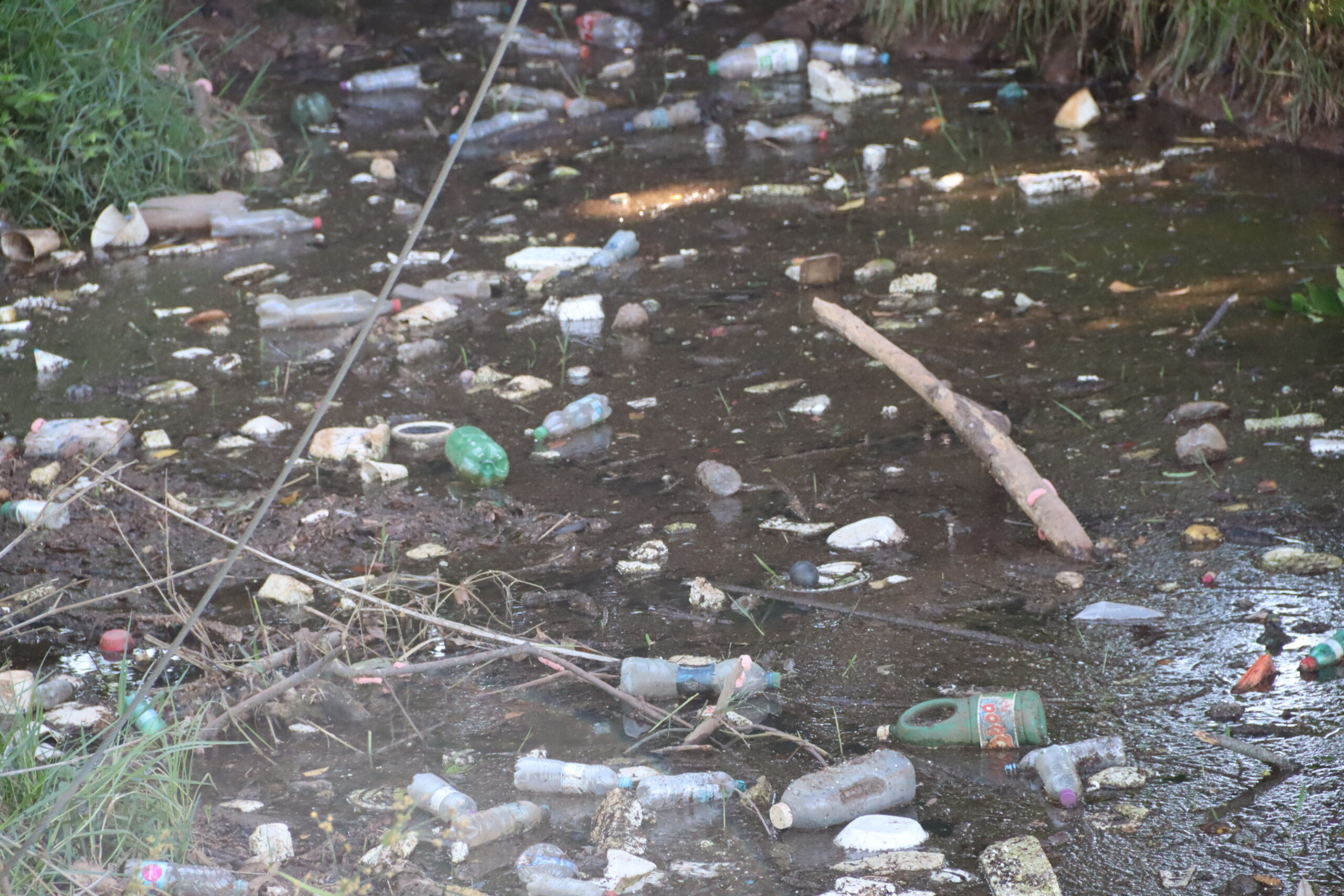 Jornal Ilustrado - Lago Aratimbó volta a sofrer com lixo e assoreamento  