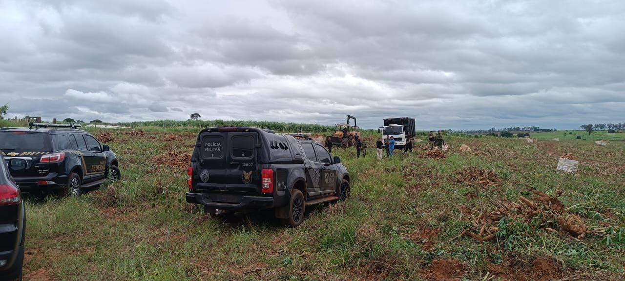 15 paraguaios são resgatados de situação análoga a escravidão em Icaraíma