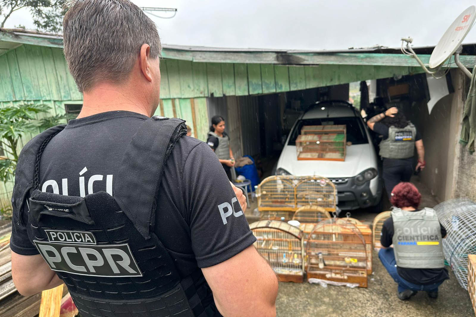 Jornal Ilustrado - PCPR deflagra operação contra organização ligada ao tráfico de animais silvestres