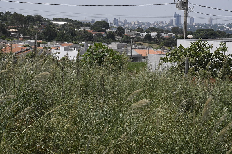 Prefeitura de Umuarama já notificou 1.450 proprietários de terrenos sujos e carros abandonados
