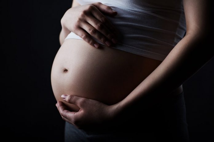 Jornal Ilustrado - INSS alerta que não usa intermediário para liberar salário-maternidade