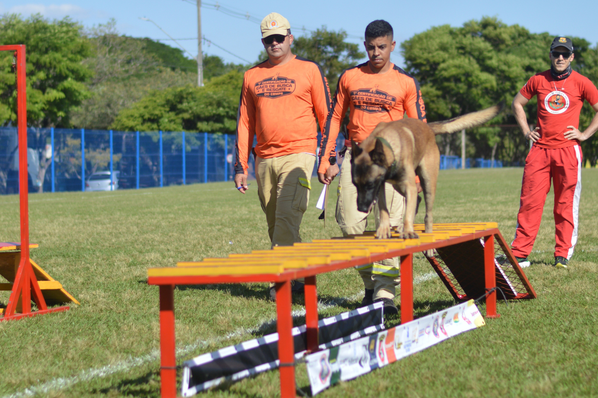 Jornal Ilustrado - Com certificação nacional de duplas, Paraná amplia número de cães aptos para resgates