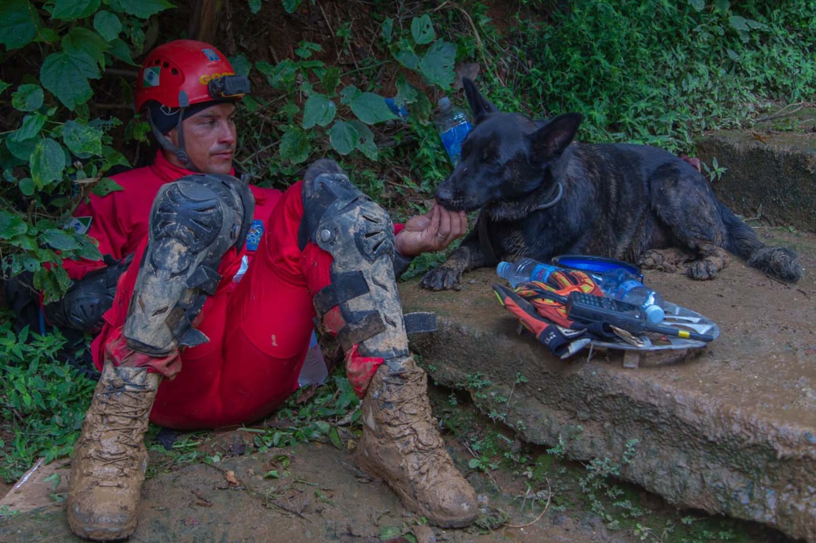Jornal Ilustrado - Paraná vai mandar novos bombeiros com cães de busca para o Rio Grande do Sul