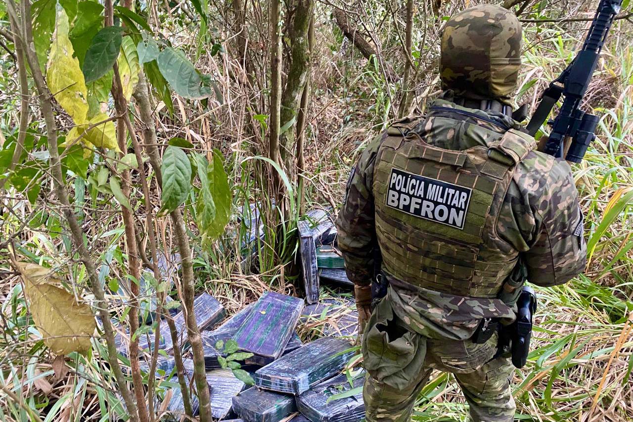 Operação Protetor: polícia apreende 1.350 kg de maconha em Cruzeiro do Oeste e Guaíra
