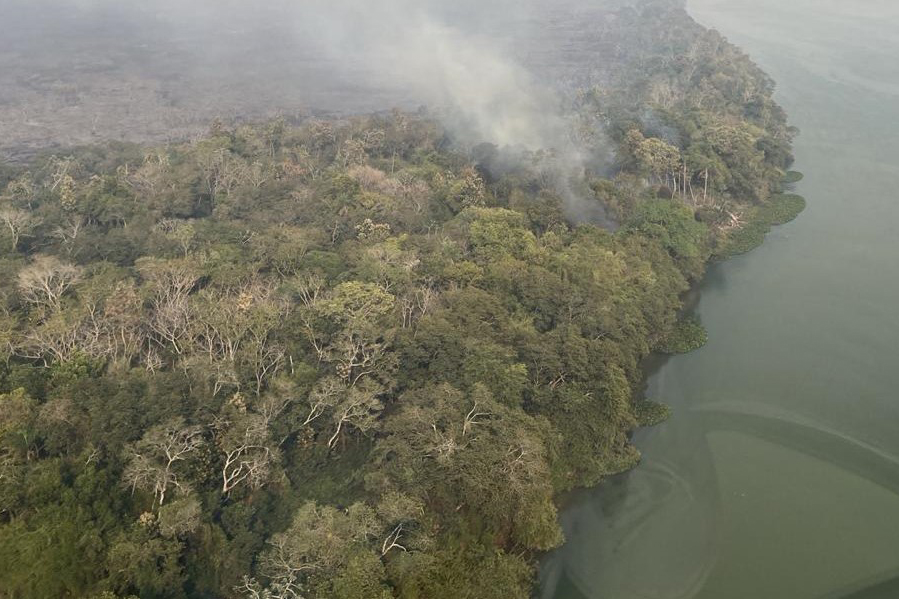 Jornal Ilustrado - Focos de incêndio alteram a qualidade do ar no Paraná, mas índice segue aceitável