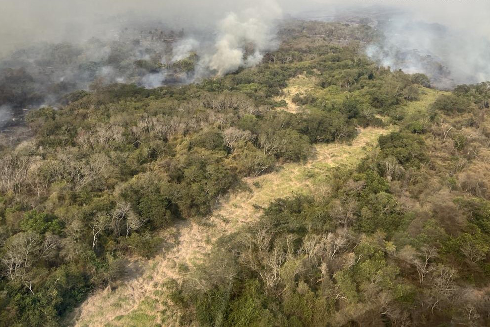 Jornal Ilustrado - Focos de incêndio alteram a qualidade do ar no Paraná, mas índice segue aceitável