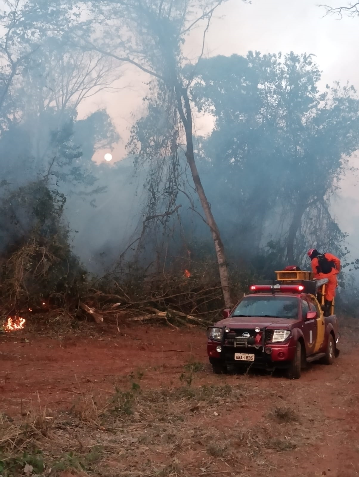 Jornal Ilustrado - Incêndio no Bosque do Índio em Umuarama ainda preocupa e desafia equipes de combate