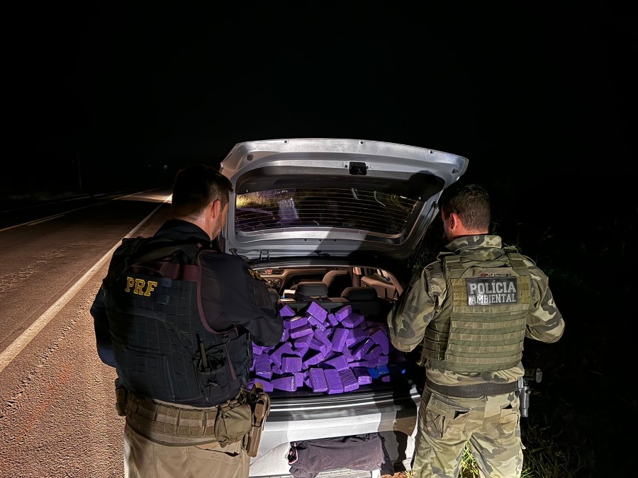PRF e Polícia Ambiental apreendem 133 kg de maconha em Terra Roxa