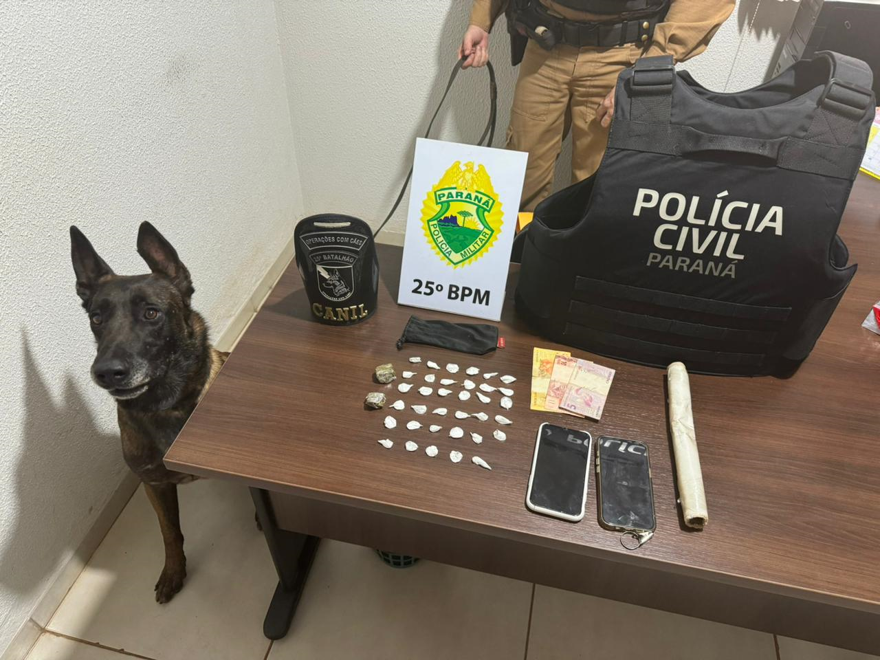 Jornal Ilustrado - Polícia Civil e Polícia Militar combatem o tráfico de drogas em Alto Piquiri 