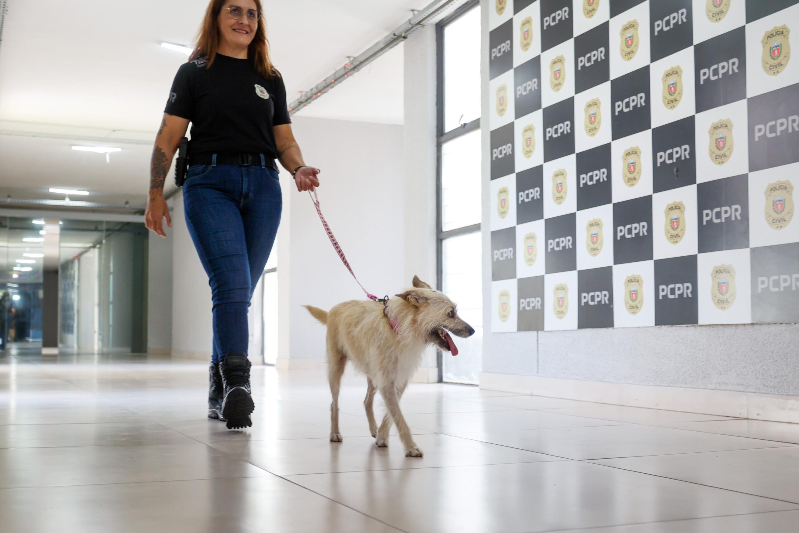 Jornal Ilustrado - Policiais civis adotam cachorrinha que "pediu ajuda" para salvar os filhotes