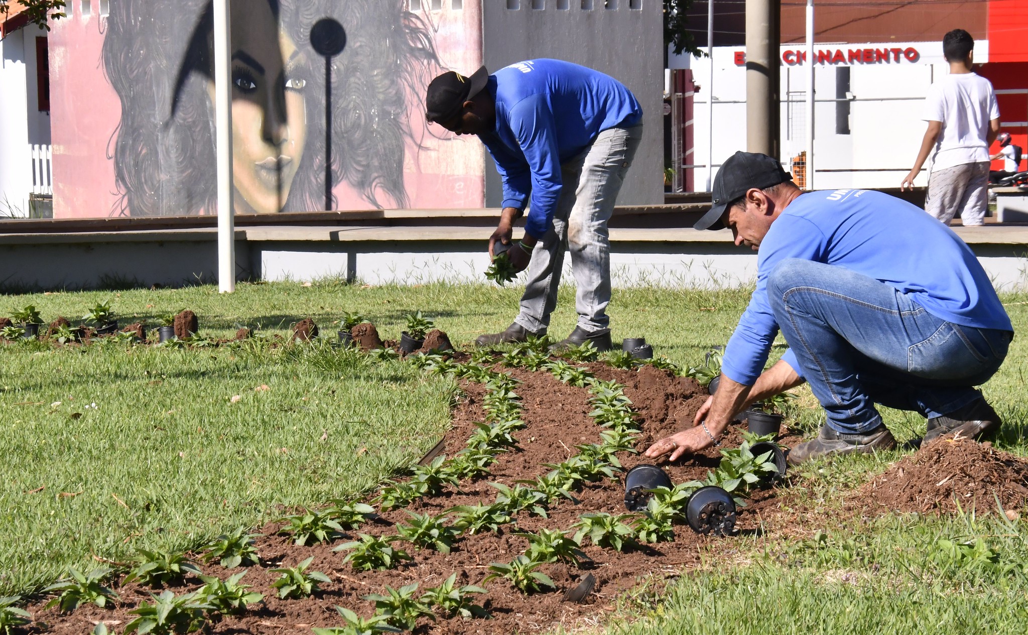 Jornal Ilustrado - Meio Ambiente renova paisagismo da cidade com plantio de 17 mil mudas de flores