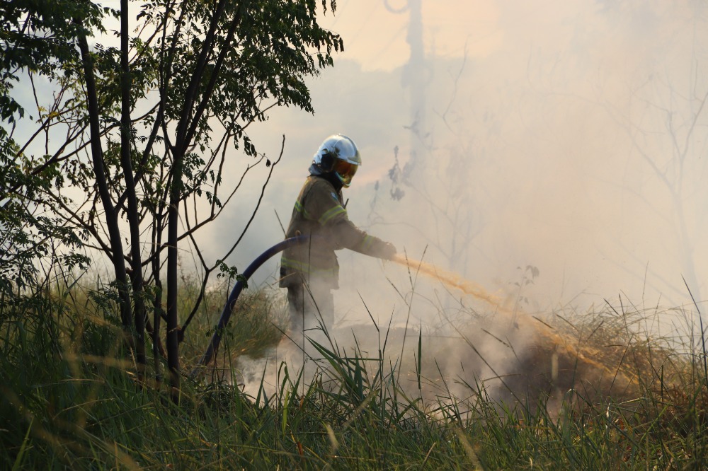 STF permite desapropriação de terra por incêndio ilegal e desmatamento