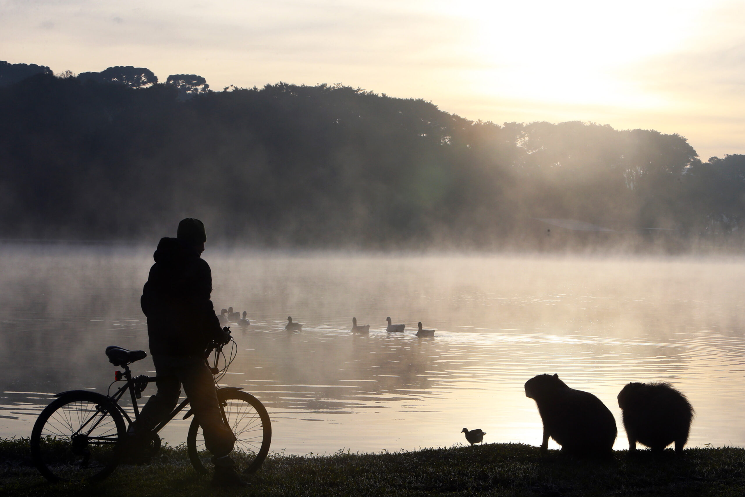 Após recordes de frio em todo o Paraná na quinta, termômetros vão cair ainda mais