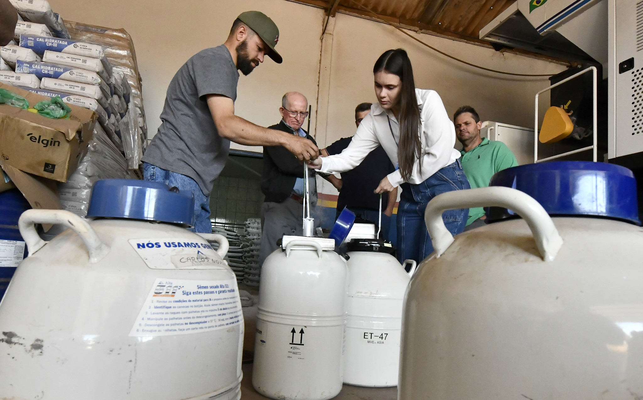Jornal Ilustrado - Prefeitura de Umuarama entrega mais de 1.300 doses de sêmen para produtores de leite do município