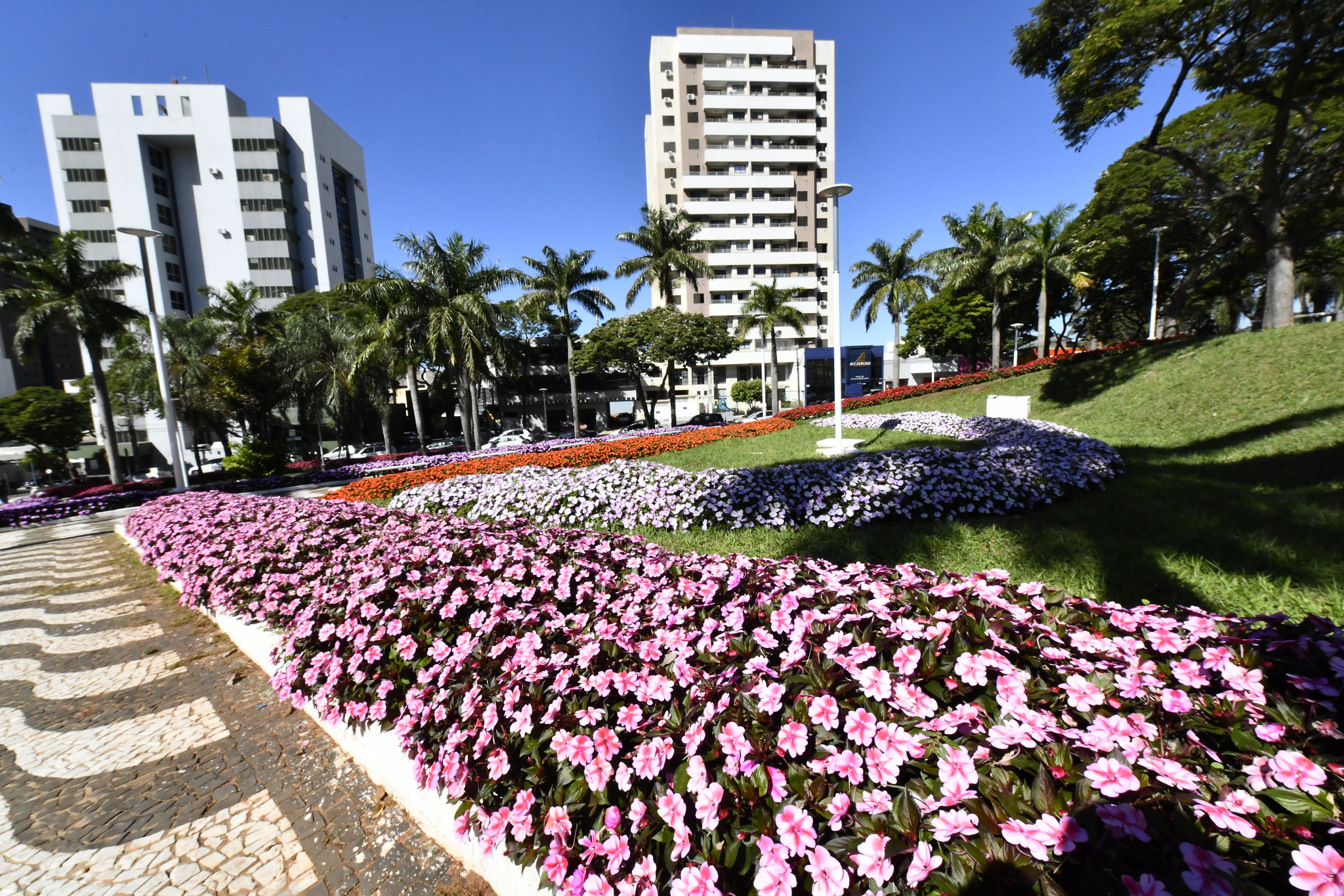 Umuarama segue sendo destaque estadual em beleza urbana com paisagismo florido nas praças