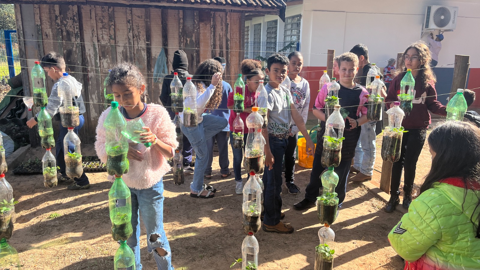 Alunos de Santa Eliza, colhem primeiros morangos cultivados com práticas sustentáveis do Programa Agrinho