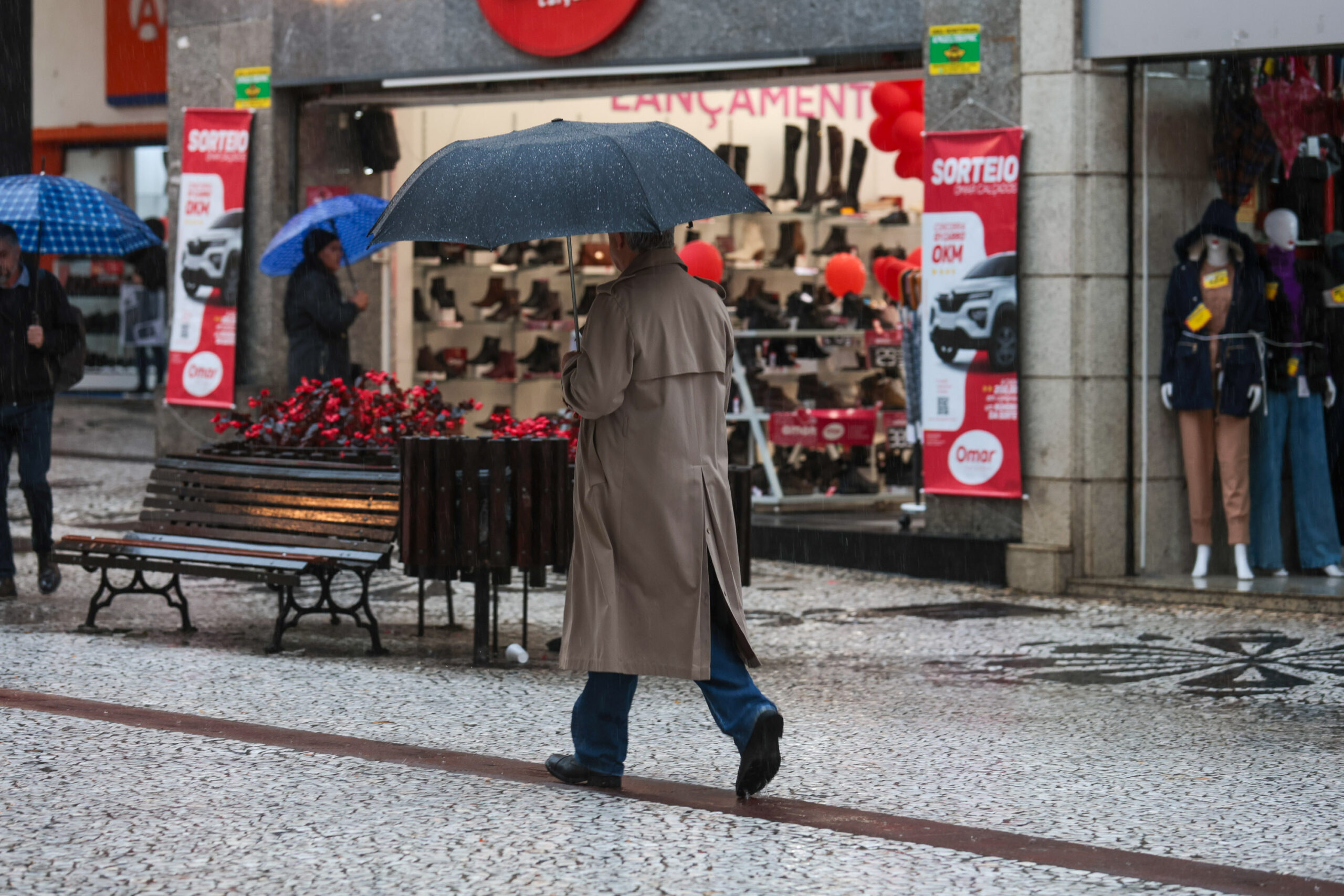 Jornal Ilustrado - Chuva, frio e vento: primeira semana de agosto terá tempo instável em todo o Paraná