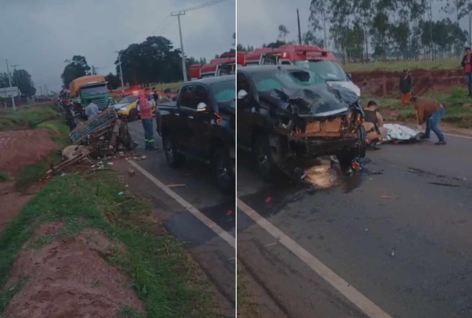 Idoso e cavalo morrem após caminhonete colidir contra charrete na PR-576