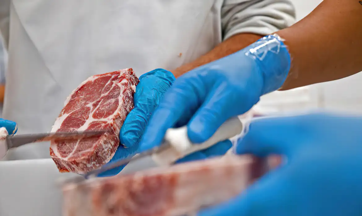 Jornal Ilustrado - Brasil vai exportar carne bovina para Indonésia