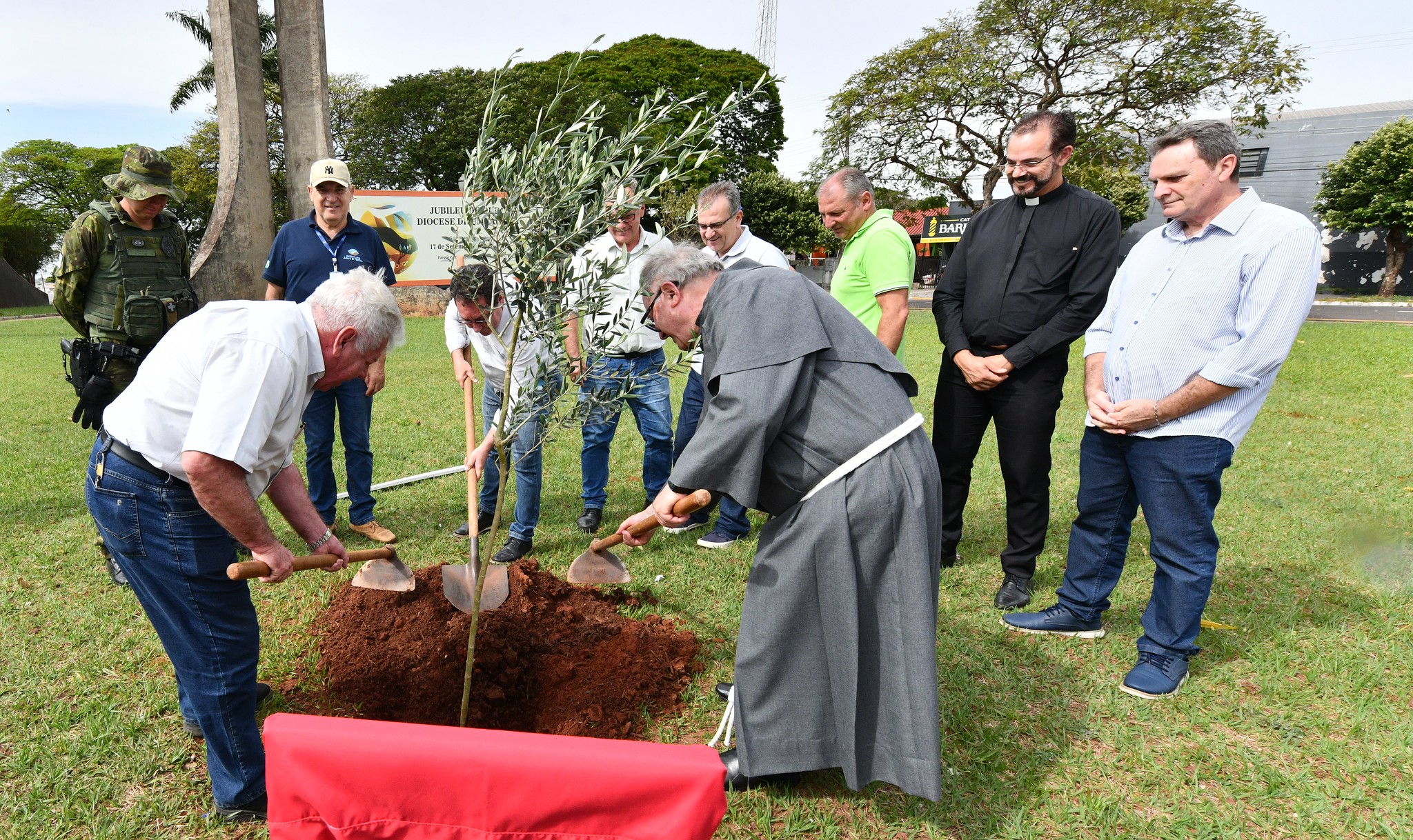 Jornal Ilustrado - Programa Ambiental Mais Sombra planta oliveiras na praça da Catedral