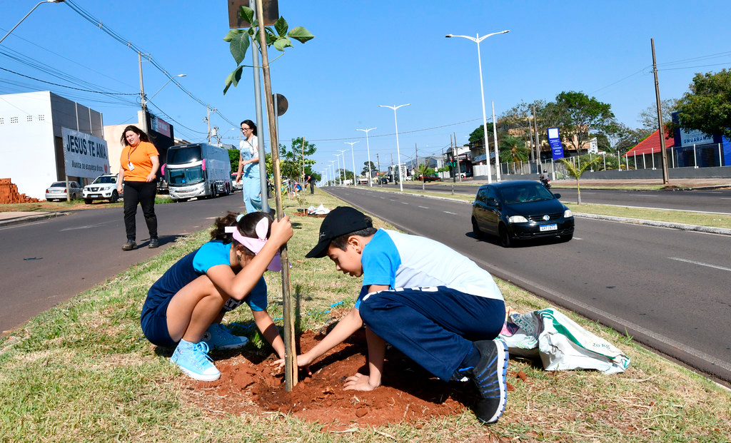 Programa Mais Sombra planta mais de 2 mil novas árvores em Umuarama
