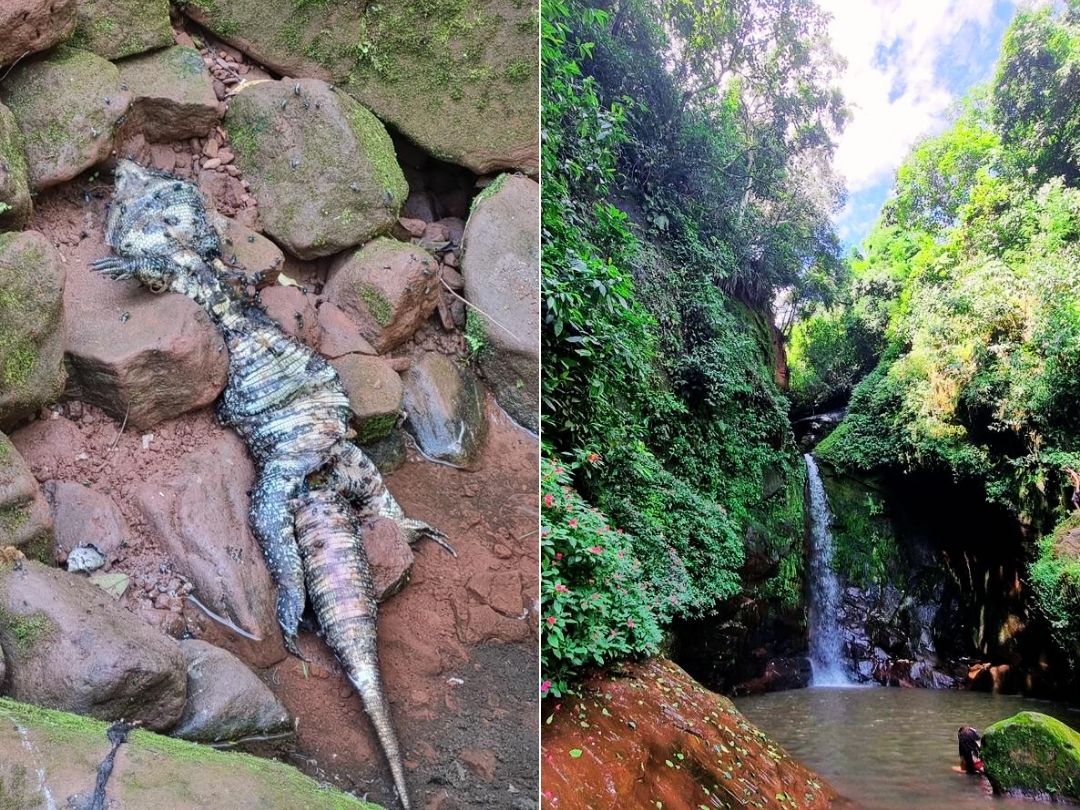 Jornal Ilustrado - Poluição na Cachoeira do Chuvisco preocupa moradores e ameaça a natureza em Umuarama