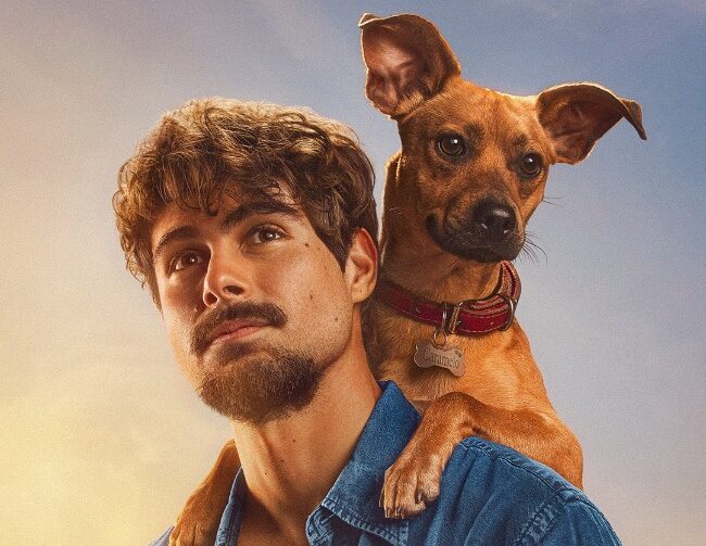Jornal Ilustrado - 'Caramelo': Netflix lança campanha de adoção inspirada no filme