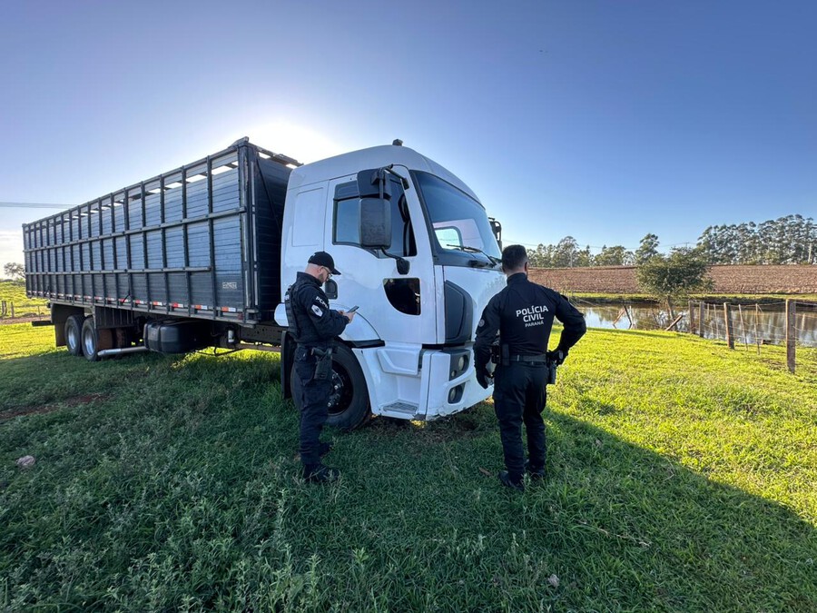 Polícia Civil de Cruzeiro do Oeste desmantela grupo especializado em furto de gado na região  