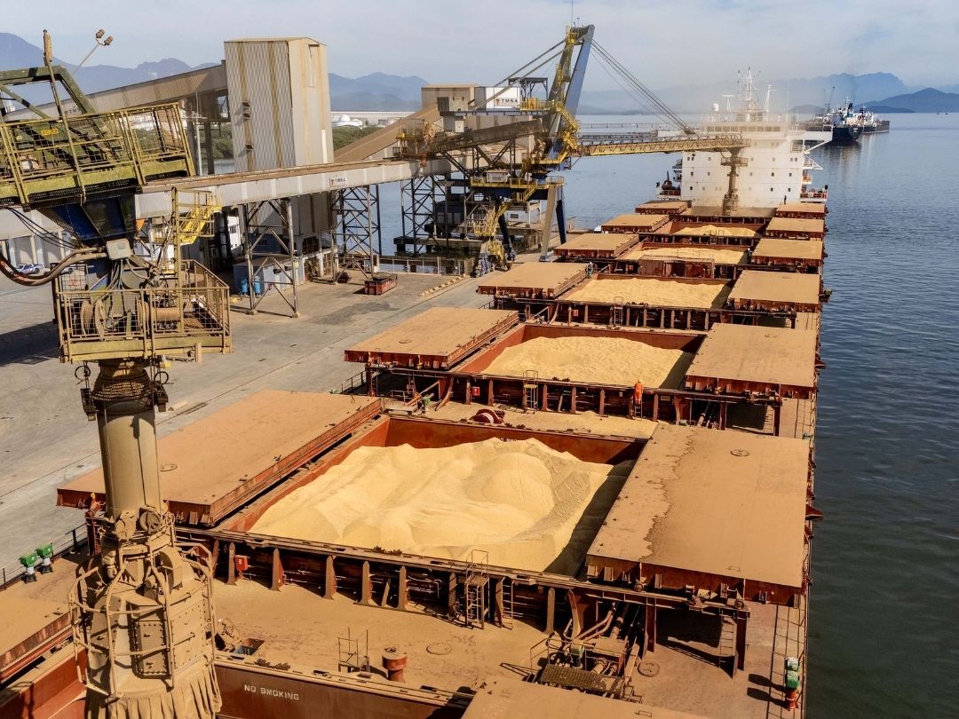 Soja responde por 21% da movimentação e lidera exportações no Paraná