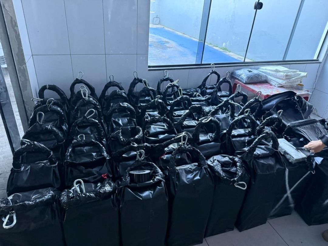Segunda maior carga de cocaína do ano é apreendida no PR; droga seria enviada à Europa