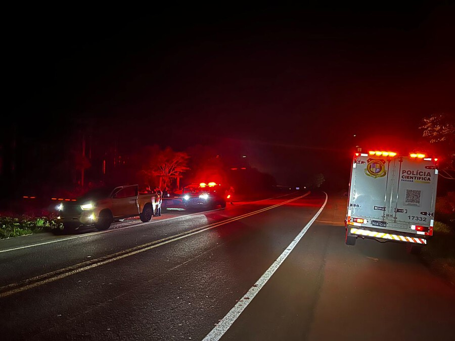 Homem aponta arma para policiais, é baleado e caminhonete furtada é recuperada na PR-323