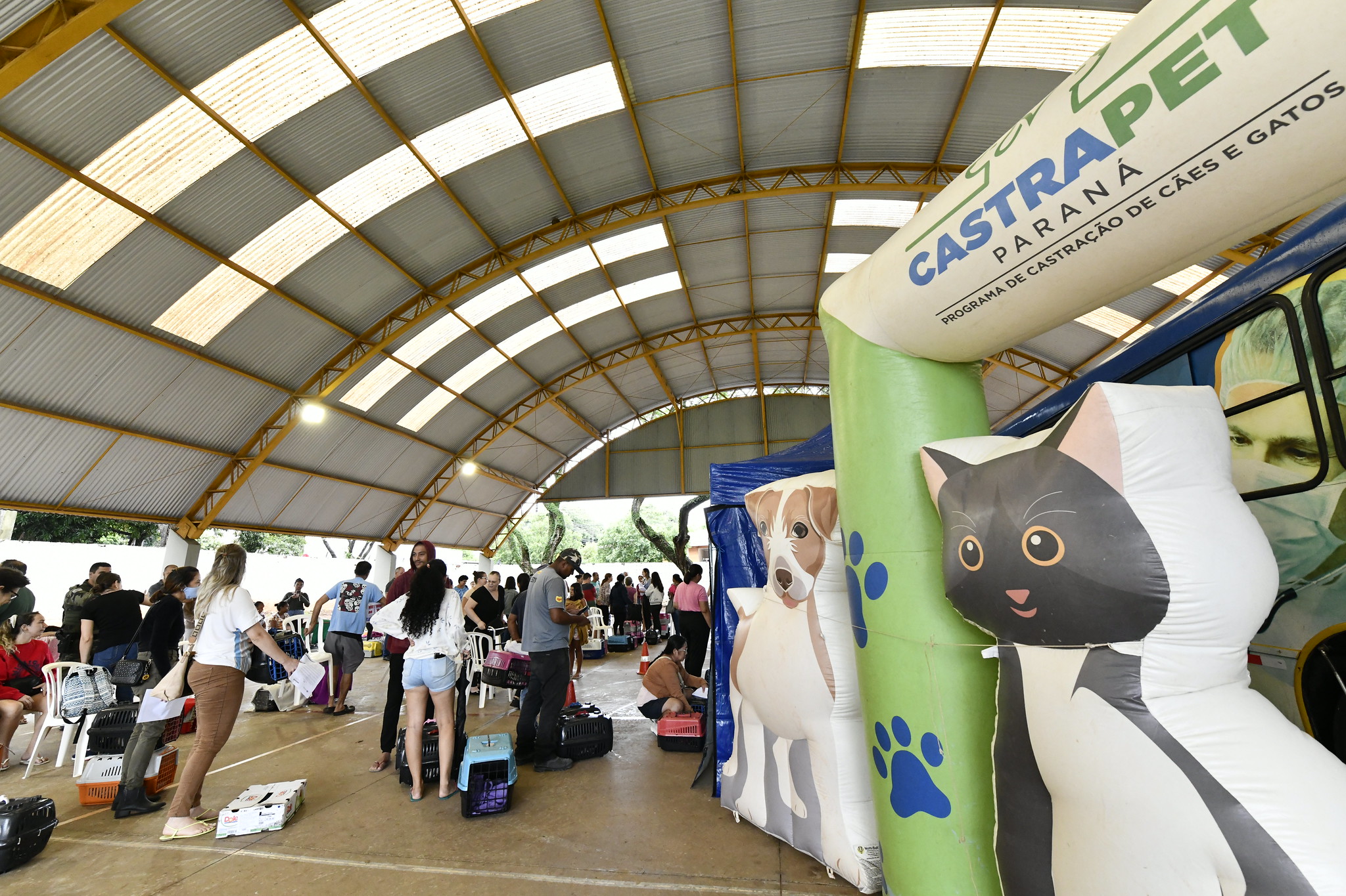 Jornal Ilustrado - Cadastramento de animais segue aberto para famílias de baixa renda