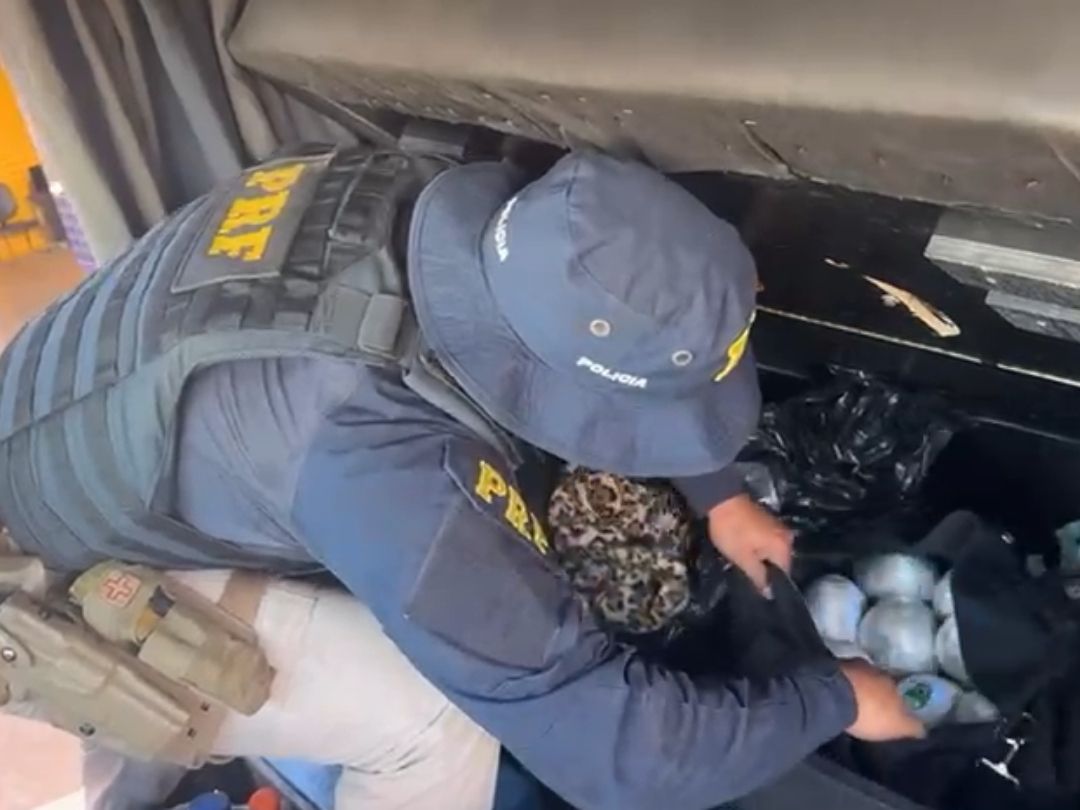Em menos de 24 horas mais de 40 quilos de drogas são apreendidos na BR-487 em Alto Paraíso