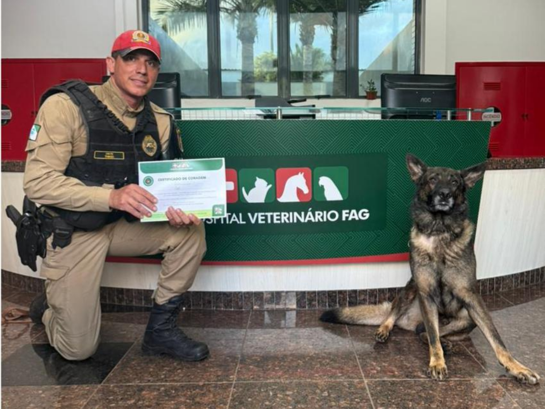 Jornal Ilustrado - Cão da polícia doa sangue e ganha Certificado de Coragem