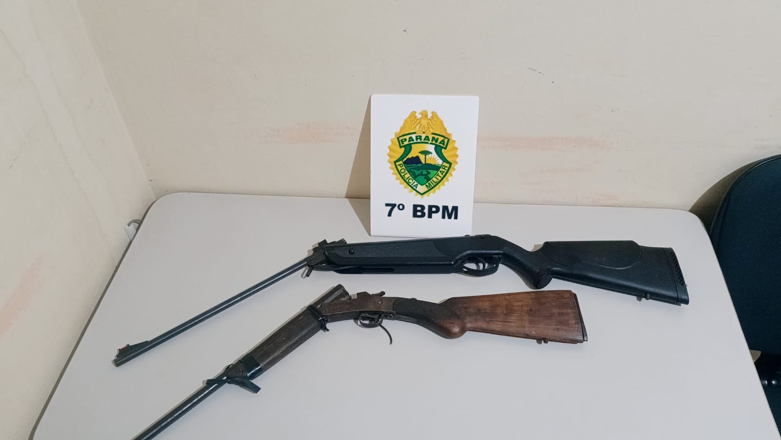 Homem é preso suspeito de atirar contra gato em Mariluz