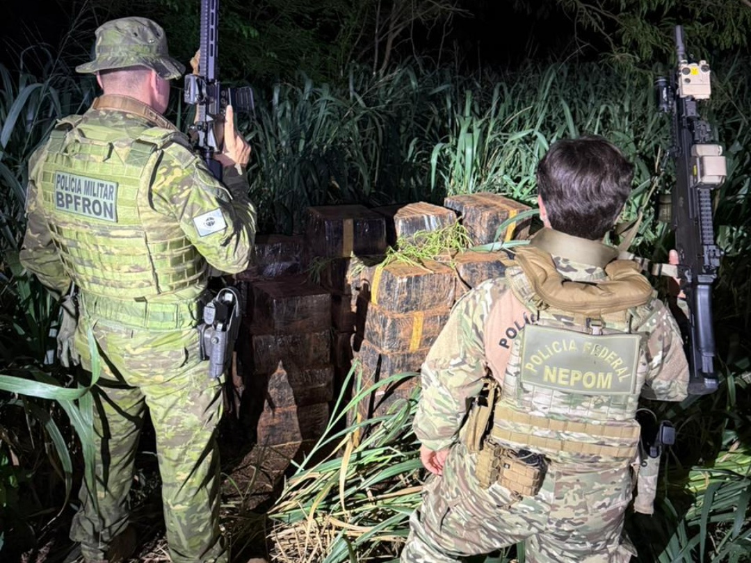 Mais de 1 tonelada de maconha é localizada em mata fechada durante operação
